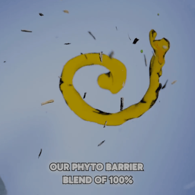 files/image_26.png